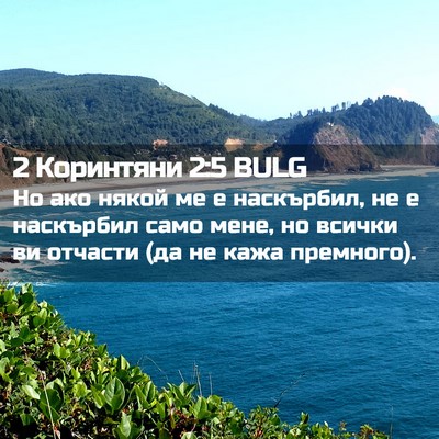 Picture 02 - 2 Коринтяни 2:5 BULG - Но ако някой ме е - Bible Verse Picture