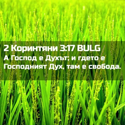 Picture 02 - 2 Коринтяни 3:17 BULG - А Господ е Духът; и гдето е - Bible Verse Picture