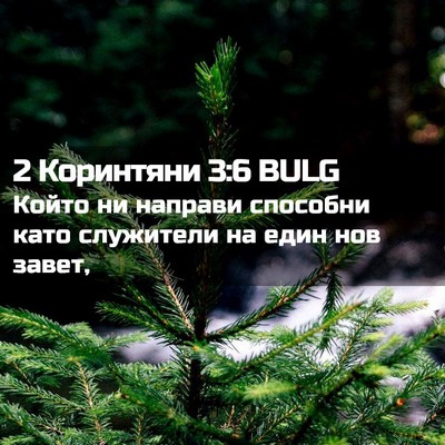 Picture 02 - 2 Коринтяни 3:6 BULG - Който ни направи способни - Bible Verse Picture