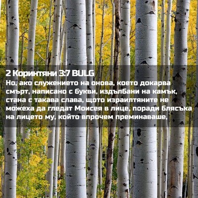 Picture 02 - 2 Коринтяни 3:7 BULG - Но, ако служението на - Bible Verse Picture