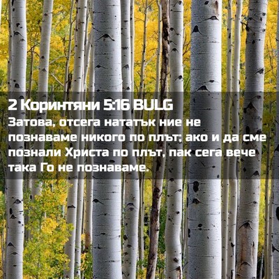 Picture 02 - 2 Коринтяни 5:16 BULG - Затова, отсега нататък ние - Bible Verse Picture