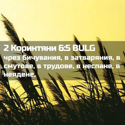 Picture 02 - 2 Коринтяни 6:5 BULG - чрез бичувания, в - Bible Verse Picture