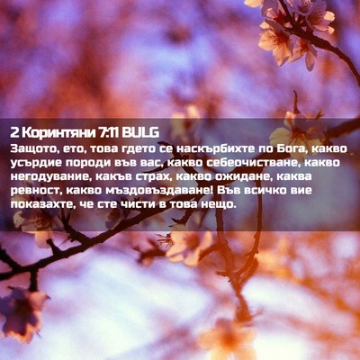 Picture 02 - 2 Коринтяни 7:11 BULG - Защото, ето, това гдето се - Bible Verse Picture
