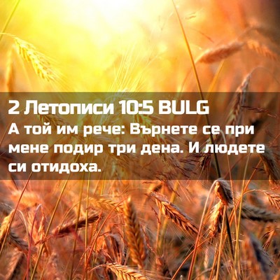 Picture 02 - 2 Летописи 10:5 BULG - А той им рече: Върнете се - Bible Verse Picture