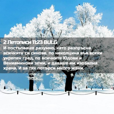 Picture 02 - 2 Летописи 11:23 BULG - И постъпваше разумно, като - Bible Verse Picture