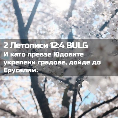 Picture 02 - 2 Летописи 12:4 BULG - И като превзе Юдовите - Bible Verse Picture