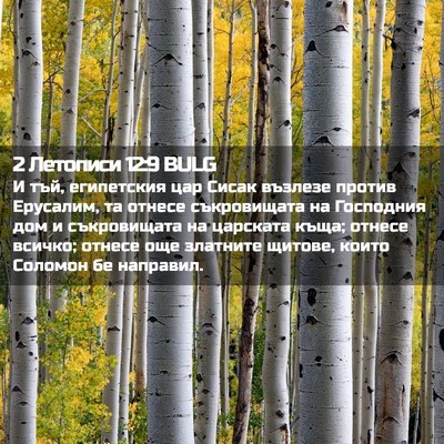 Picture 02 - 2 Летописи 12:9 BULG - И тъй, египетския цар Сисак - Bible Verse Picture