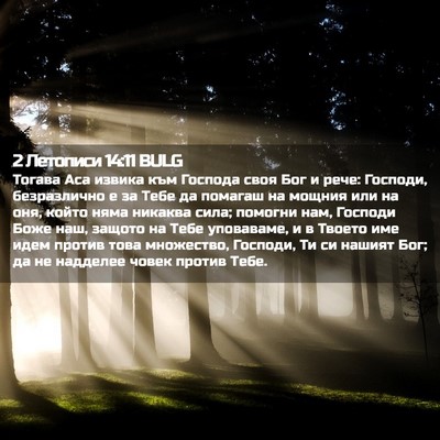 Picture 02 - 2 Летописи 14:11 BULG - Тогава Аса извика към - Bible Verse Picture