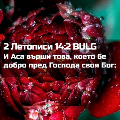 Picture 02 - 2 Летописи 14:2 BULG - И Аса върши това, което бе - Bible Verse Picture