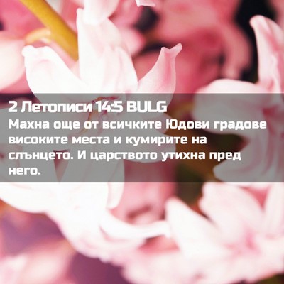 Picture 02 - 2 Летописи 14:5 BULG - Махна още от всичките - Bible Verse Picture