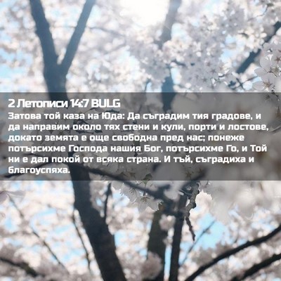 Picture 02 - 2 Летописи 14:7 BULG - Затова той каза на Юда: Да - Bible Verse Picture