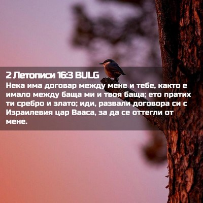 Picture 02 - 2 Летописи 16:3 BULG - Нека има договар между - Bible Verse Picture