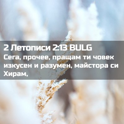 Picture 02 - 2 Летописи 2:13 BULG - Сега, прочее, пращам ти - Bible Verse Picture