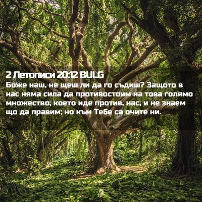Picture 02 - 2 Летописи 20:12 BULG - Боже наш, не щеш ли да го - Bible Verse Picture