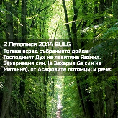 Picture 02 - 2 Летописи 20:14 BULG - Тогава всред събранието - Bible Verse Picture