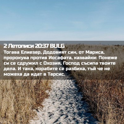 Picture 02 - 2 Летописи 20:37 BULG - Тогава Елиезер, Додовият - Bible Verse Picture