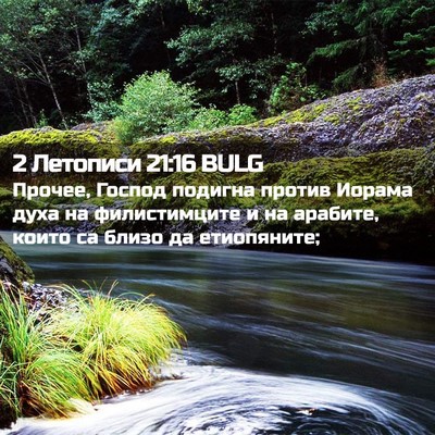 Picture 02 - 2 Летописи 21:16 BULG - Прочее, Господ подигна - Bible Verse Picture