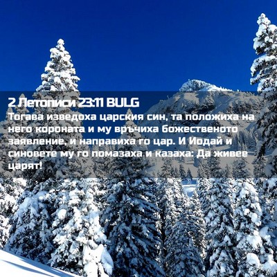 Picture 02 - 2 Летописи 23:11 BULG - Тогава изведоха царския - Bible Verse Picture