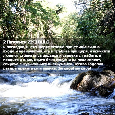 Picture 02 - 2 Летописи 23:13 BULG - и погледна, и, ето, царят - Bible Verse Picture