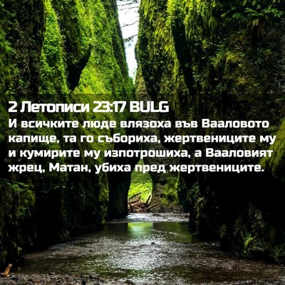 Picture 02 - 2 Летописи 23:17 BULG - И всичките люде влязоха - Bible Verse Picture