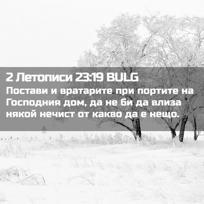 Picture 02 - 2 Летописи 23:19 BULG - Постави и вратарите при - Bible Verse Picture