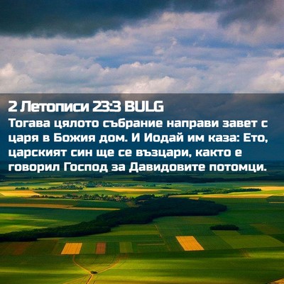 Picture 02 - 2 Летописи 23:3 BULG - Тогава цялото събрание - Bible Verse Picture