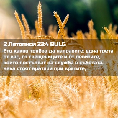 Picture 02 - 2 Летописи 23:4 BULG - Ето какво трябва да - Bible Verse Picture