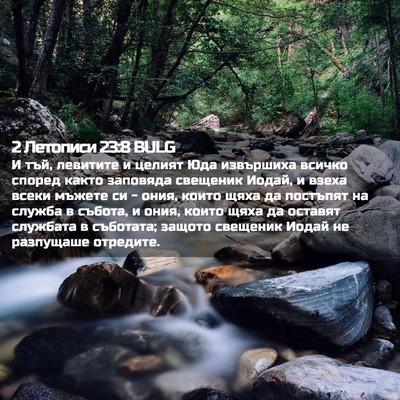 Picture 02 - 2 Летописи 23:8 BULG - И тъй, левитите и целият - Bible Verse Picture