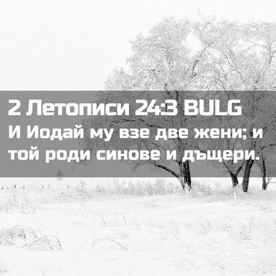Picture 02 - 2 Летописи 24:3 BULG - И Иодай му взе две жени; и - Bible Verse Picture