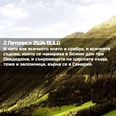 Picture 02 - 2 Летописи 25:24 BULG - И като взе всичкото злато и - Bible Verse Picture