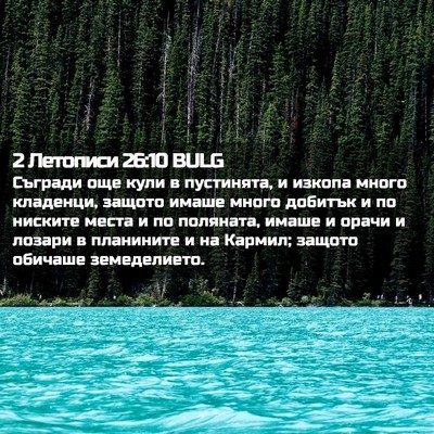 Picture 02 - 2 Летописи 26:10 BULG - Съгради още кули в - Bible Verse Picture
