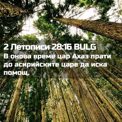 Picture 02 - 2 Летописи 28:16 BULG - В онова време цар Ахаз - Bible Verse Picture