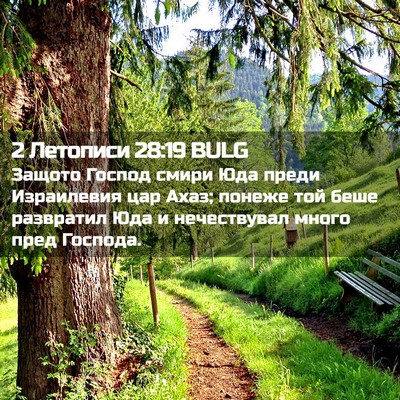 Picture 02 - 2 Летописи 28:19 BULG - Защото Господ смири Юда - Bible Verse Picture