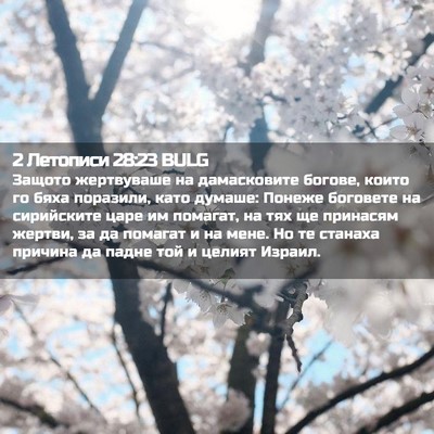 Picture 02 - 2 Летописи 28:23 BULG - Защото жертвуваше на - Bible Verse Picture
