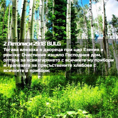Picture 02 - 2 Летописи 29:18 BULG - Тогава влязоха в двореца - Bible Verse Picture