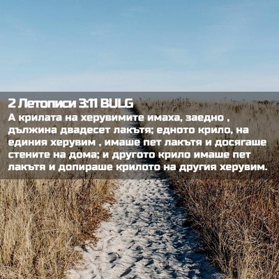 Picture 02 - 2 Летописи 3:11 BULG - А крилата на херувимите - Bible Verse Picture