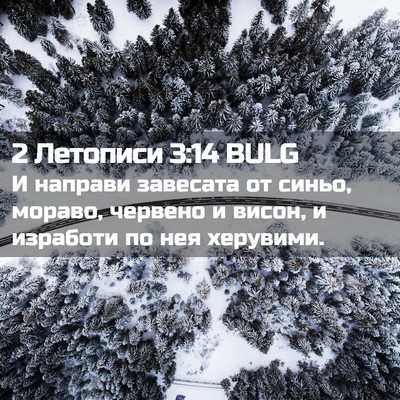 Picture 02 - 2 Летописи 3:14 BULG - И направи завесата от - Bible Verse Picture