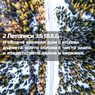 Picture 02 - 2 Летописи 3:5 BULG - И облече великия дом с - Bible Verse Picture