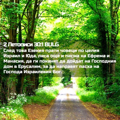 Picture 02 - 2 Летописи 30:1 BULG - След това Езекия прати - Bible Verse Picture