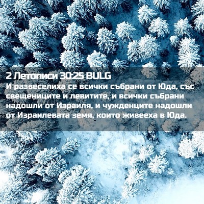 Picture 02 - 2 Летописи 30:25 BULG - И развеселиха се всички - Bible Verse Picture