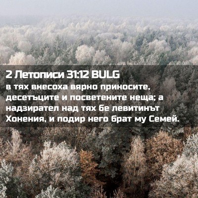 Picture 02 - 2 Летописи 31:12 BULG - в тях внесоха вярно - Bible Verse Picture