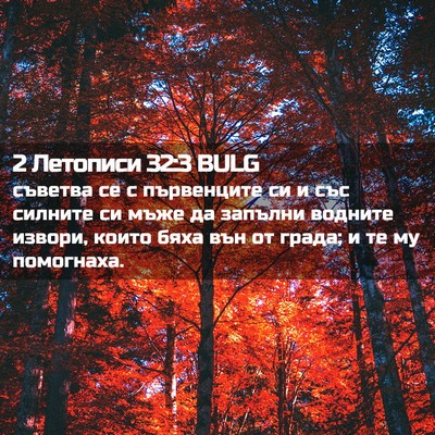 Picture 02 - 2 Летописи 32:3 BULG - съветва се с първенците си - Bible Verse Picture