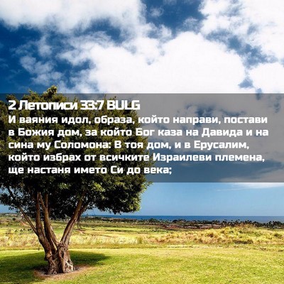 Picture 02 - 2 Летописи 33:7 BULG - И ваяния идол, образа, - Bible Verse Picture