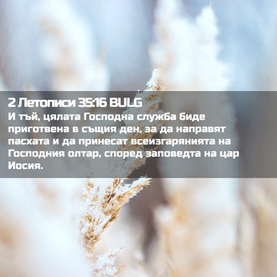 Picture 02 - 2 Летописи 35:16 BULG - И тъй, цялата Господна - Bible Verse Picture