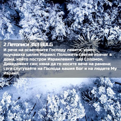Picture 02 - 2 Летописи 35:3 BULG - И рече на осветените - Bible Verse Picture