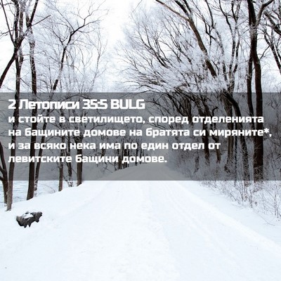 Picture 02 - 2 Летописи 35:5 BULG - и стойте в светилището, - Bible Verse Picture