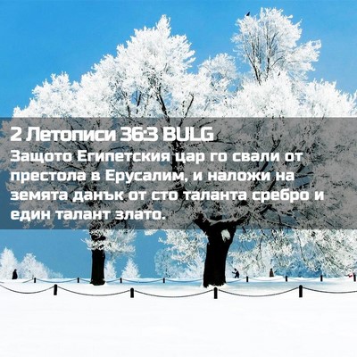 Picture 02 - 2 Летописи 36:3 BULG - Защото Египетския цар го - Bible Verse Picture