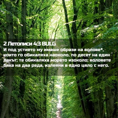 Picture 02 - 2 Летописи 4:3 BULG - И под устието му имаше - Bible Verse Picture