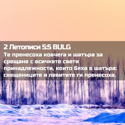Picture 02 - 2 Летописи 5:5 BULG - Те пренесоха ковчега и - Bible Verse Picture