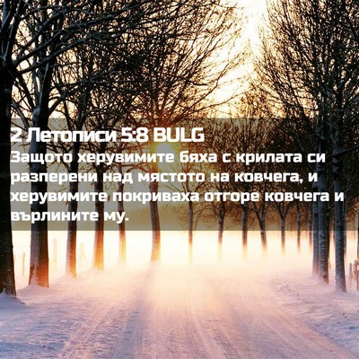Picture 02 - 2 Летописи 5:8 BULG - Защото херувимите бяха с - Bible Verse Picture